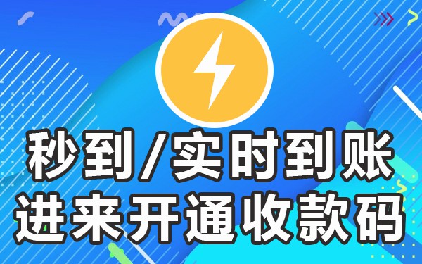 紫色收款码支付申请宝怎么弄_支付宝紫色收款码怎么申请_支付宝蓝底色收款码
