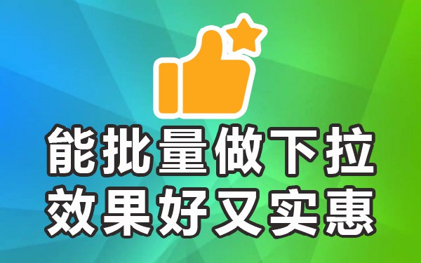 下拉选框是什么意思_在下拉框选项中输入内容_如何输入下拉框选的内容