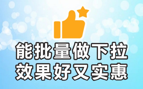 下拉词什么意思_下拉词软件平台_下拉词是怎么做的