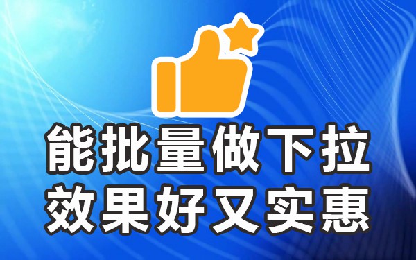 下拉词什么意思_下拉词是怎么做的_下拉词软件平台